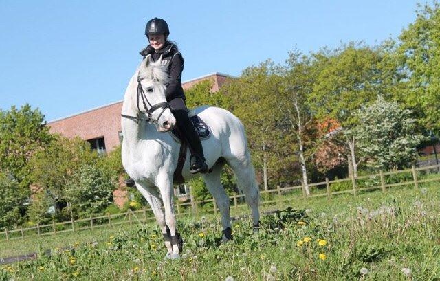 Anden særlig race Silver <3  billede 2