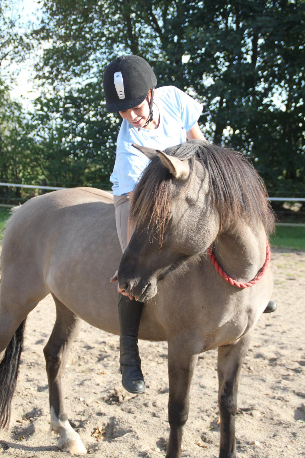 Anden særlig race Skovbjerggaards Astucia billede 20