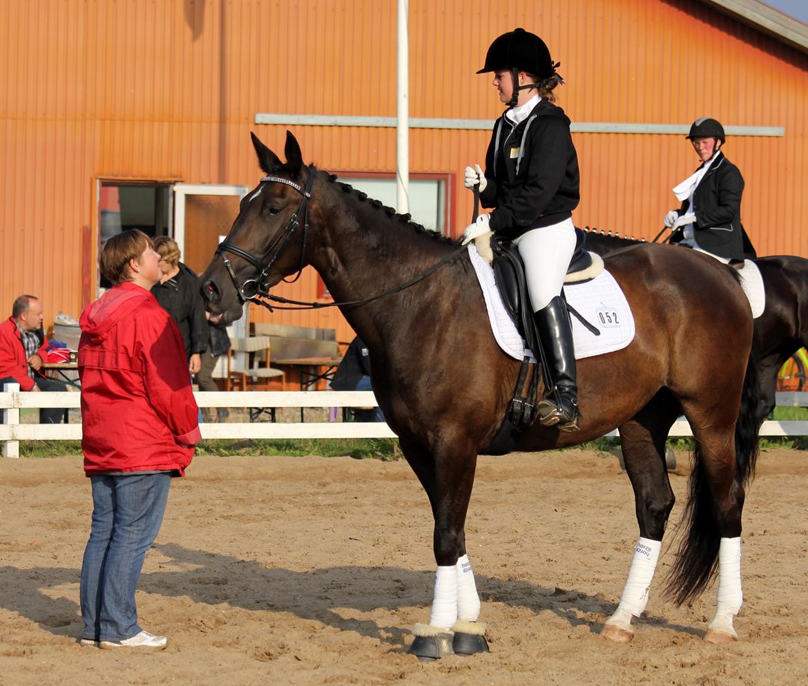 Anden særlig race New princess - Aller første stævne Broager d. 6-9-2014 billede 5