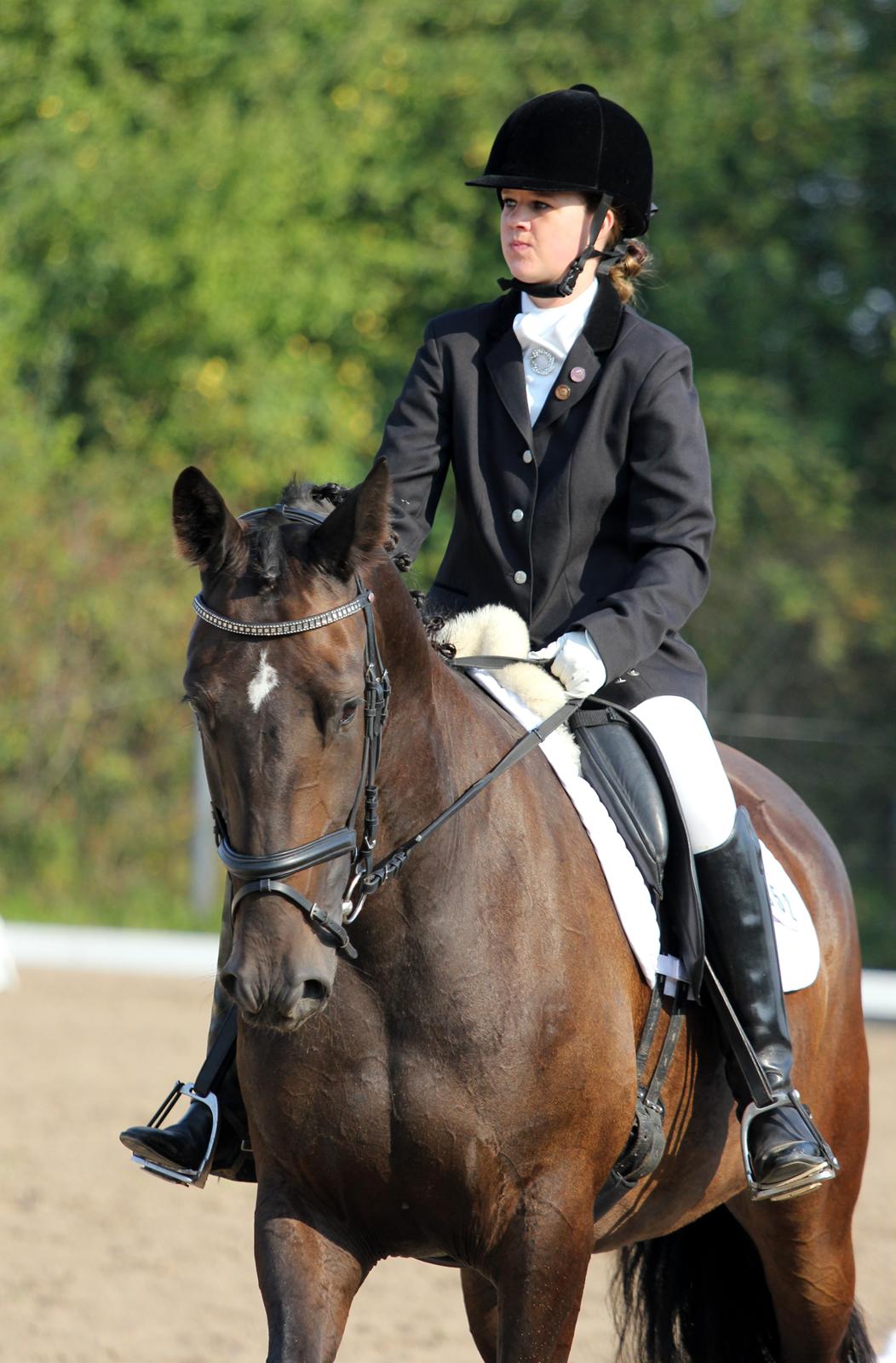 Anden særlig race New princess - Aller første stævne Broager d. 6-9-2014 LC3 billede 7