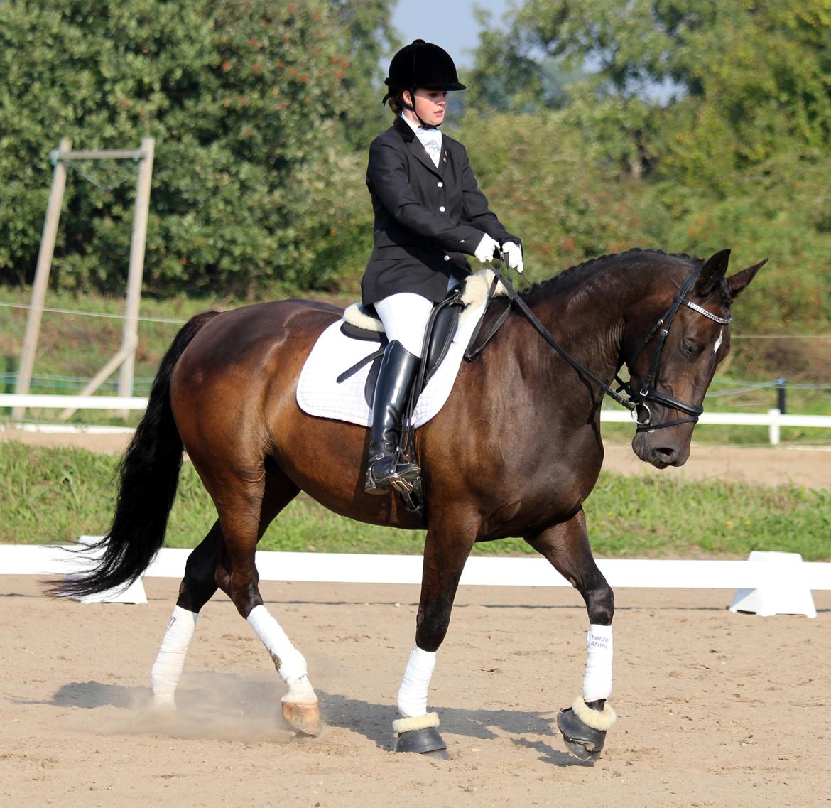 Anden særlig race New princess - Aller første stævne Broager d. 6-9-2014 LC3 billede 9