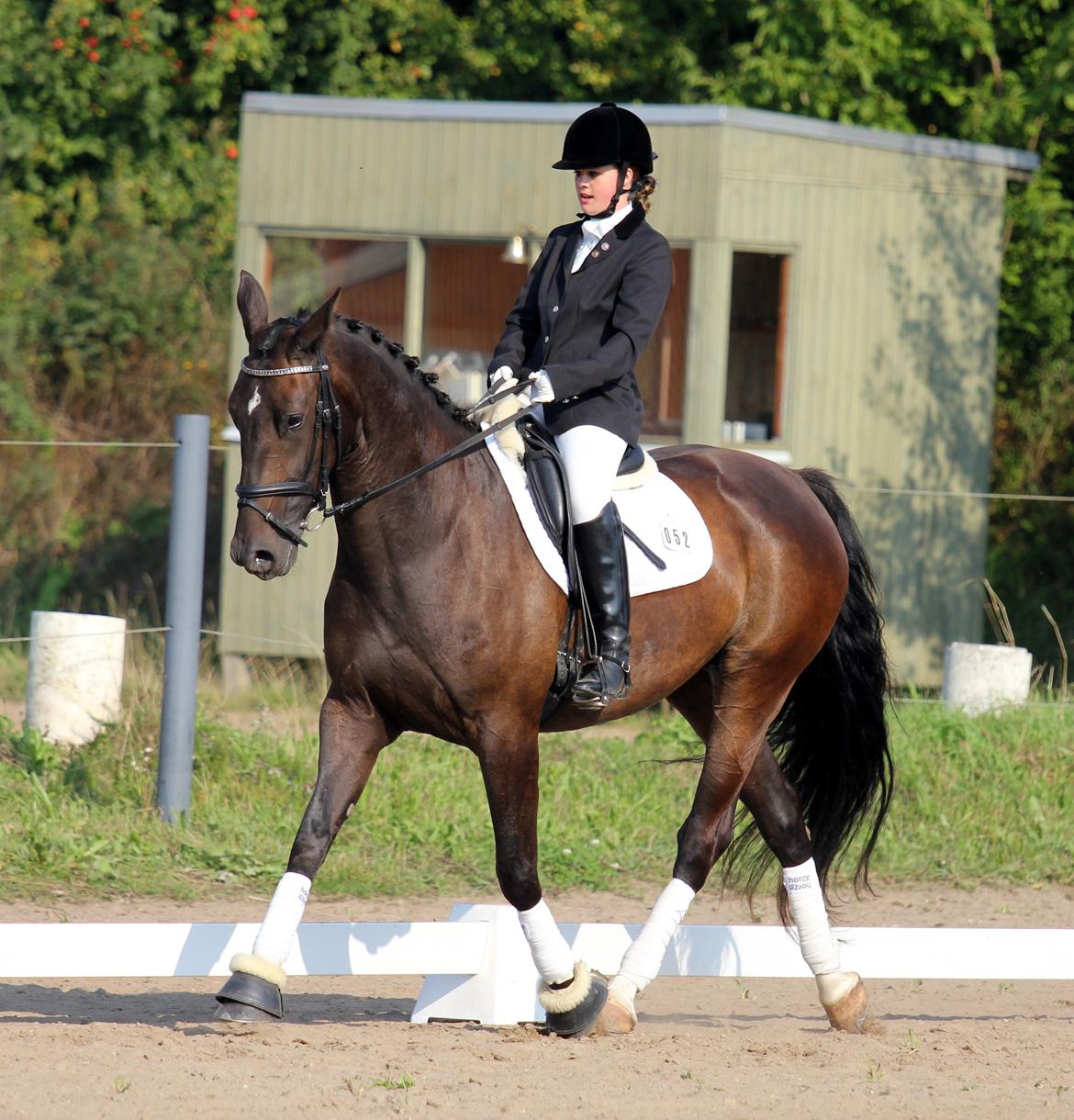 Anden særlig race New princess - Aller første stævne Broager d. 6-9-2014 LC3 billede 10