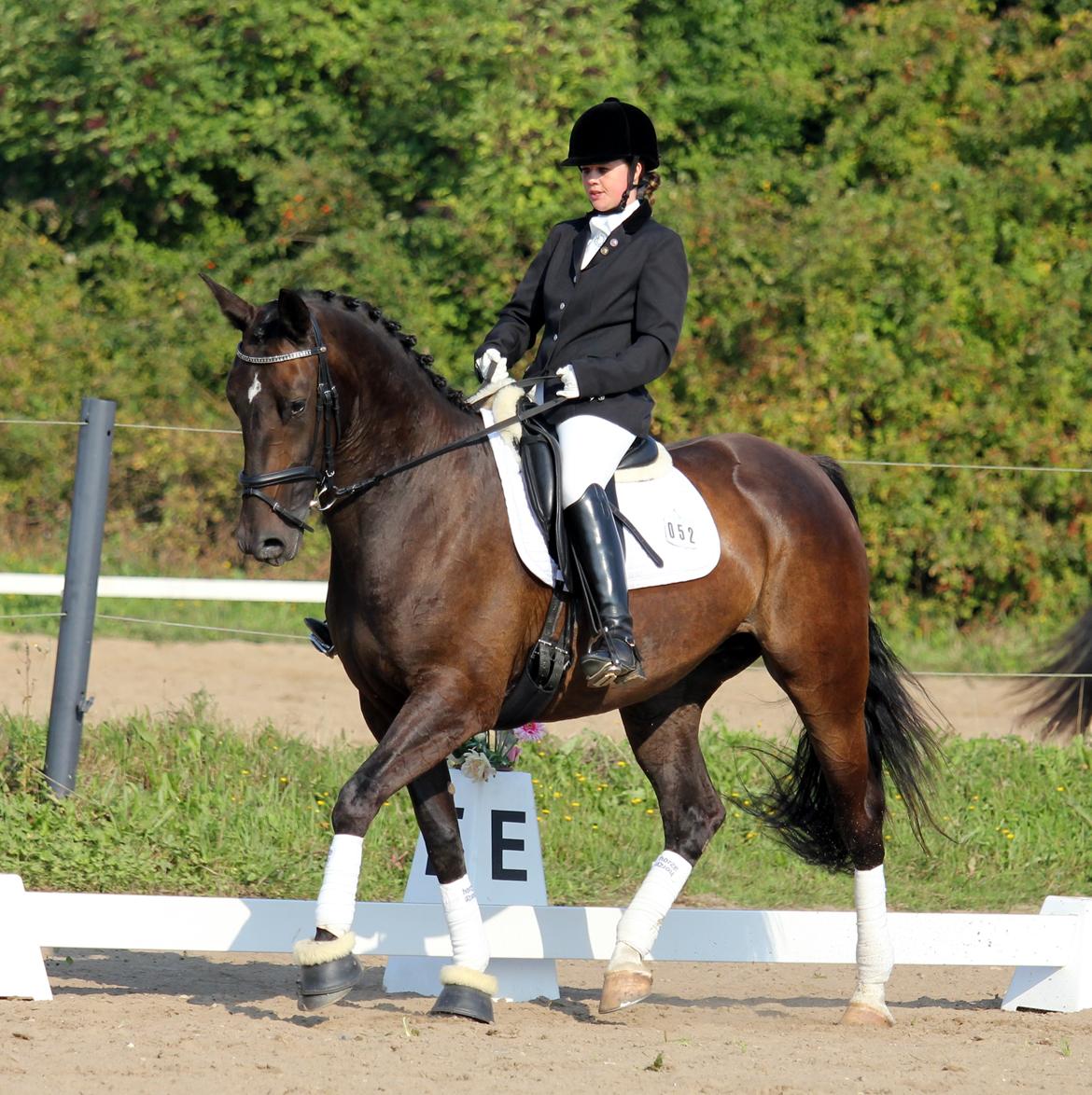 Anden særlig race New princess - Aller første stævne Broager d. 6-9-2014 LC3 billede 12