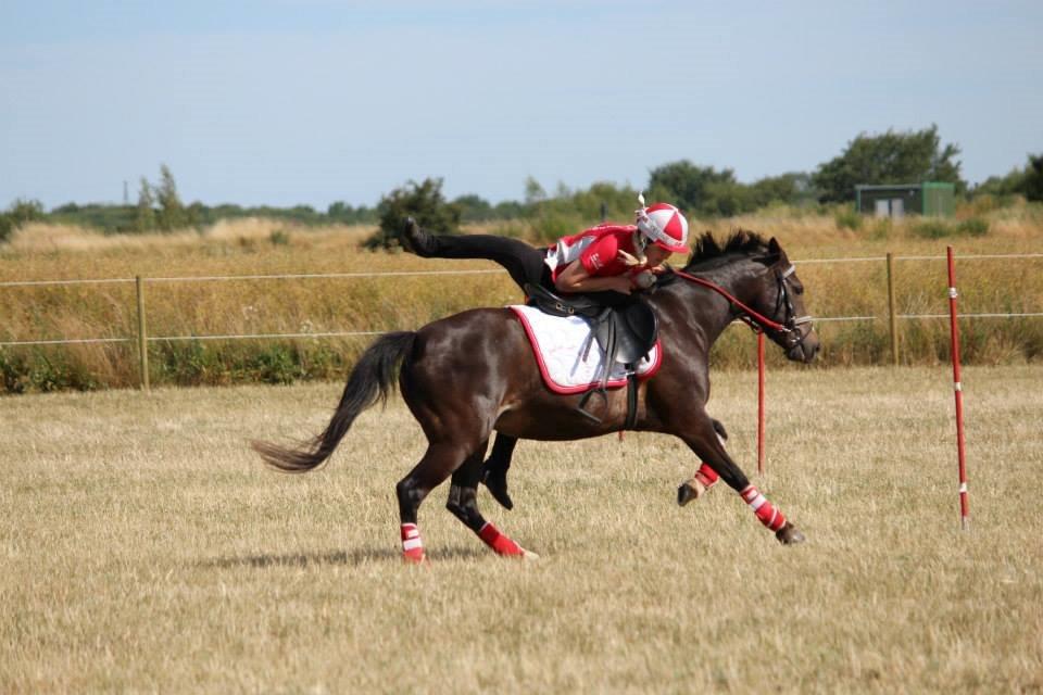 DSP Fredbo´s Image - DK pony cup 2014 billede 4