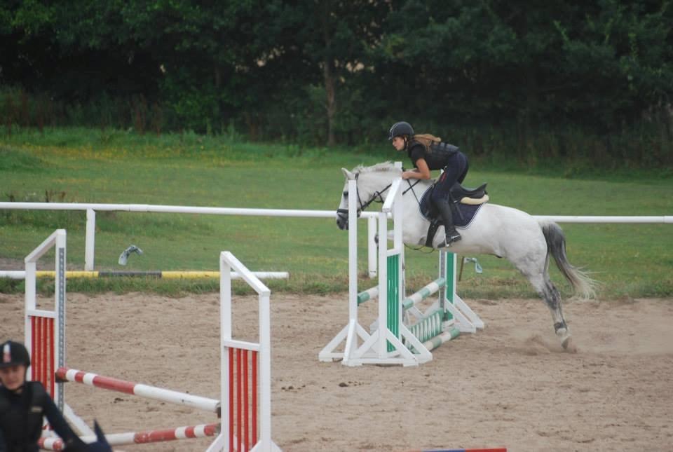 Anden særlig race Cæsar - Springkursus ved Tina Lund. Sommer 2014 billede 15