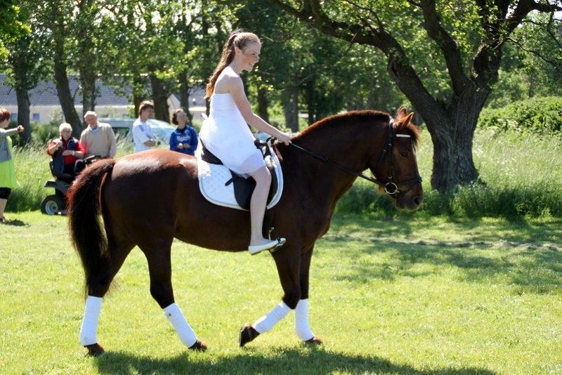 Connemara Quiva <3 - <3 - 29/5-14 billede 27