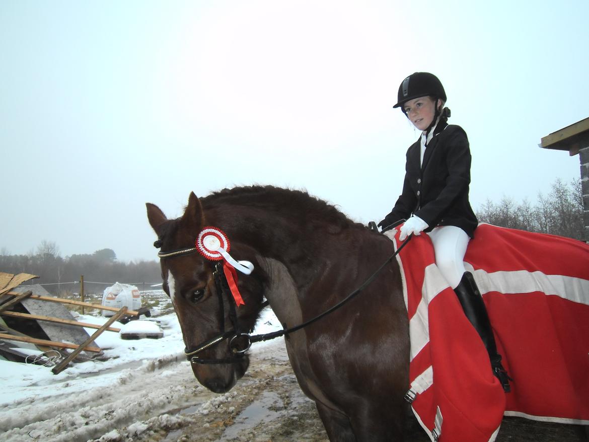 Connemara Quiva <3 - 2. stævne, og vindere igen. Den pony er en stjerne! - 18/12-13 billede 22