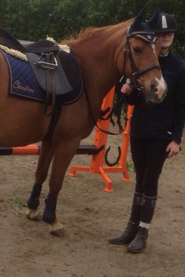 Anden særlig race Lady rose billede 3