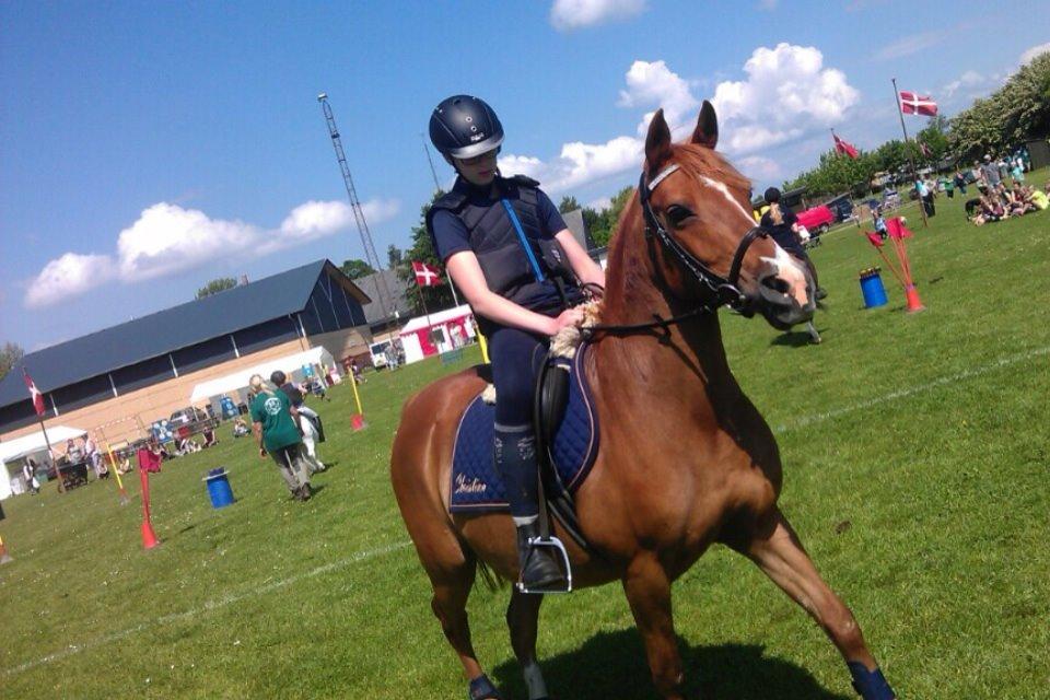 Anden særlig race Lady rose billede 8