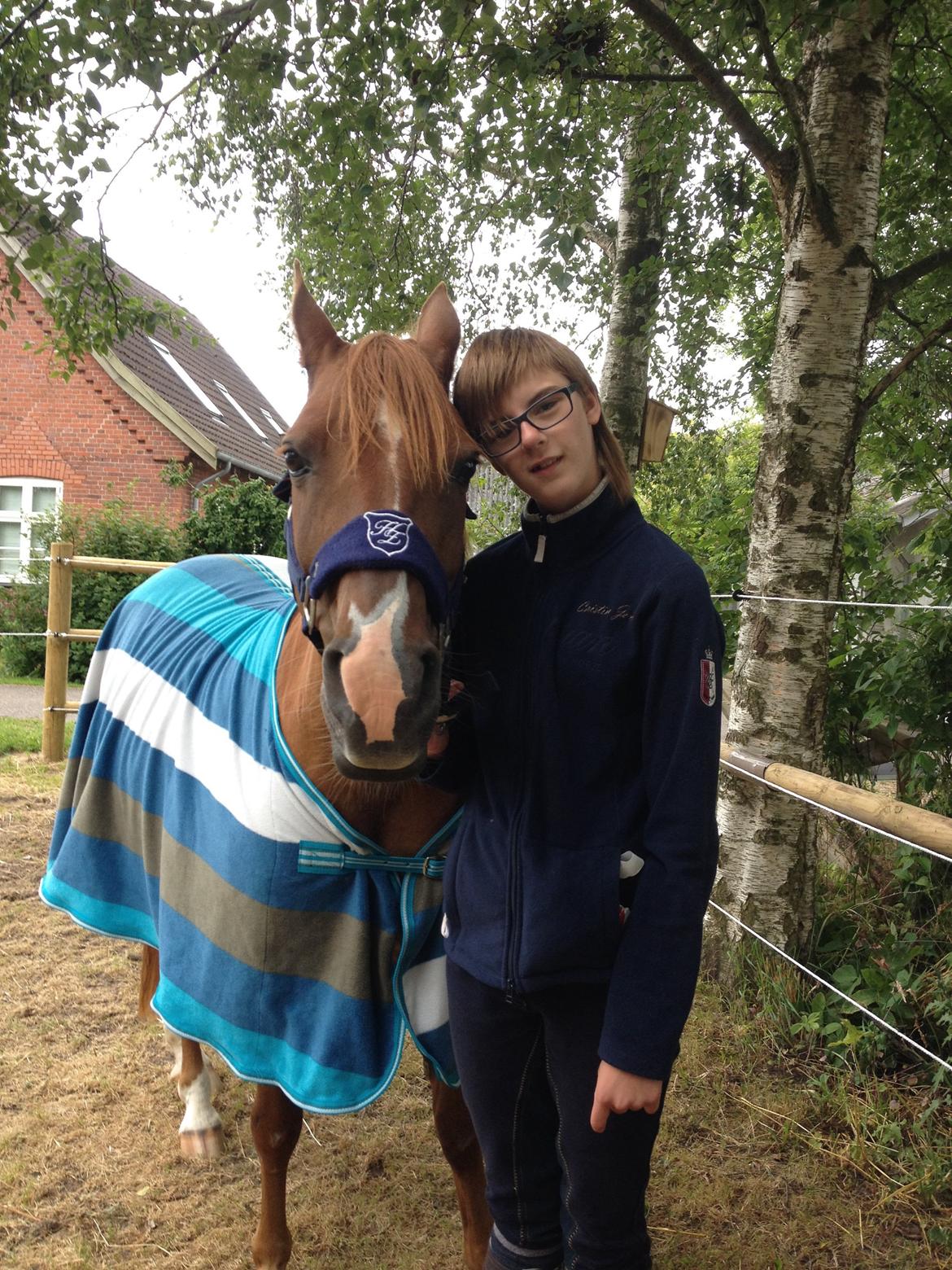 Anden særlig race Lady rose billede 1