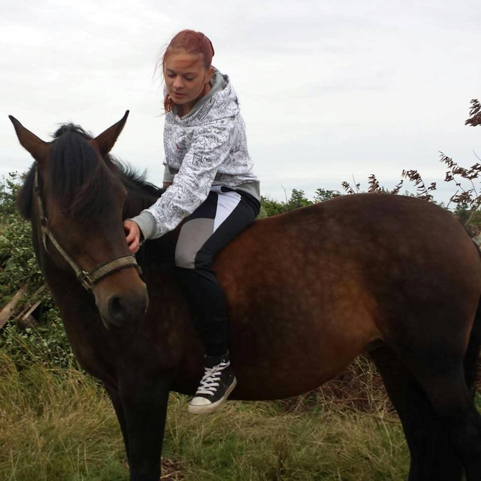 Anden særlig race Luna - Vi har nu kendt hianden i over 5år og elsker hende mere for hver dag der går <3 <3 billede 7