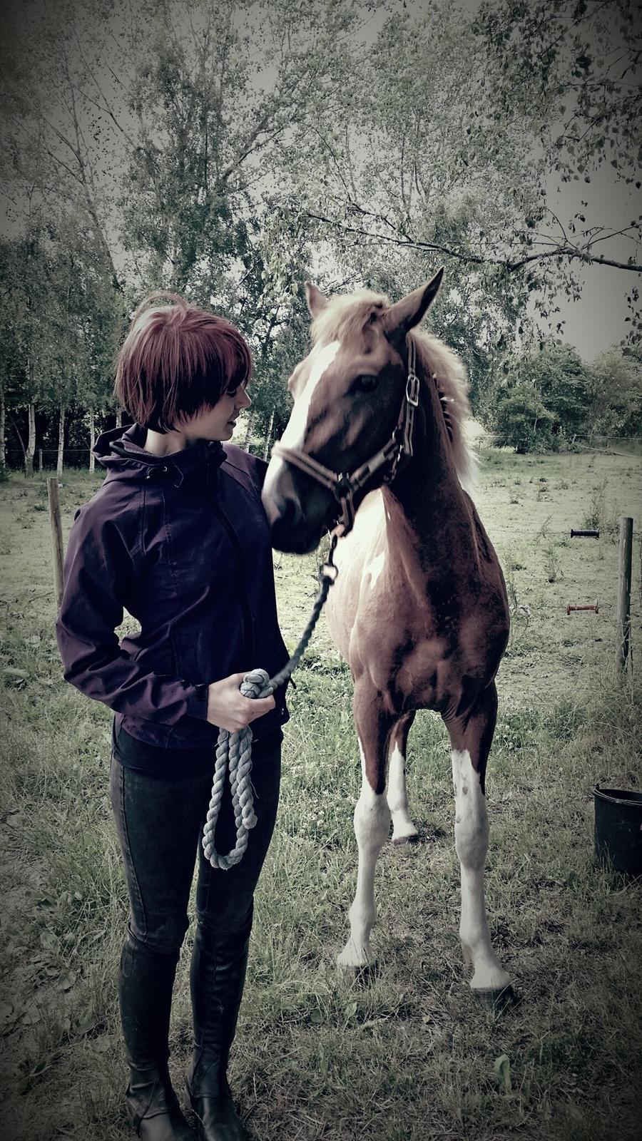 Anden særlig race Lucky billede 7