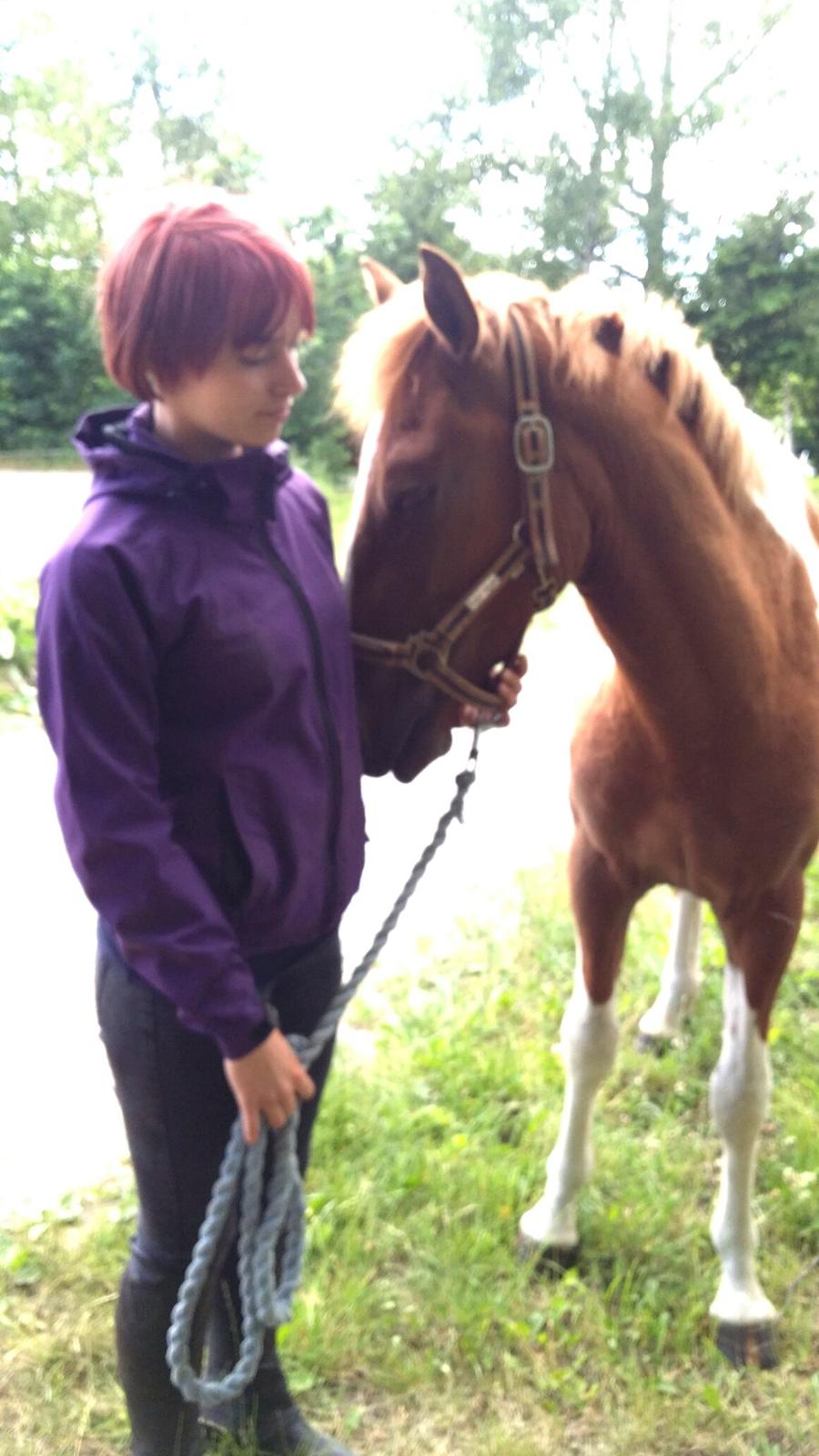 Anden særlig race Lucky billede 8