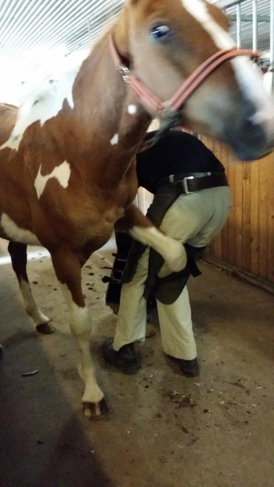 Anden særlig race Lucky - Det der med smed, det var noget mærkeligt noget. billede 9