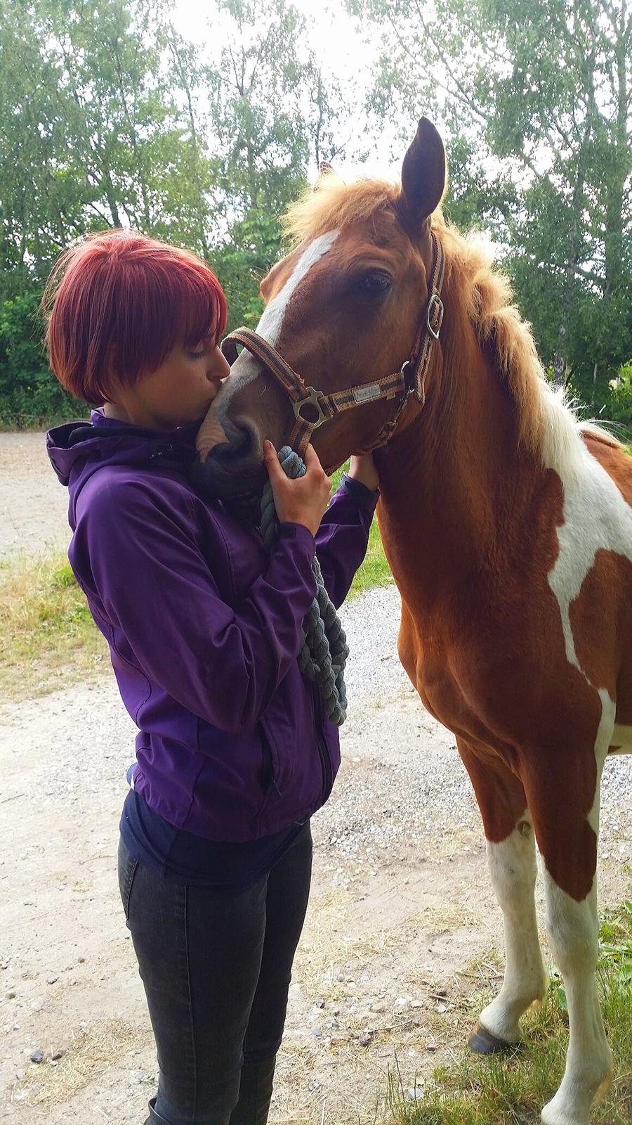 Anden særlig race Lucky billede 6