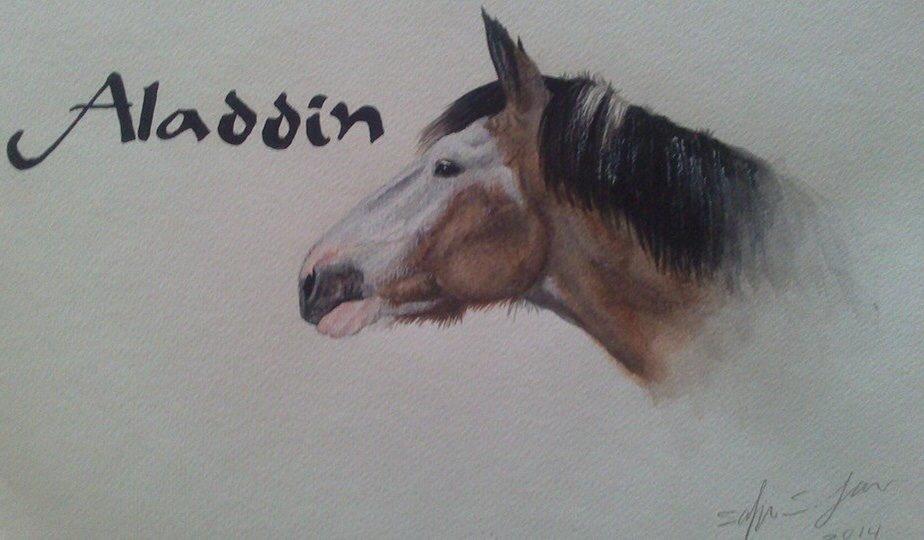 Anden særlig race Blanding - Aladdin <3 billede 20