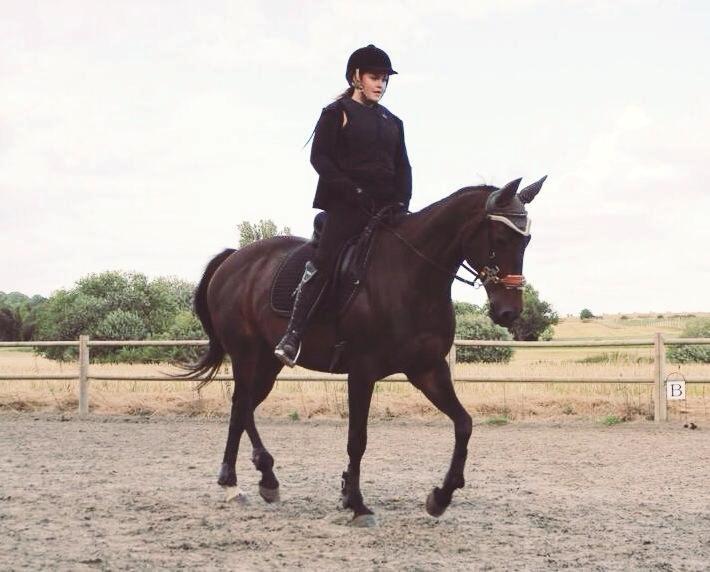 DSP Nørlunds Miss Tanna billede 6