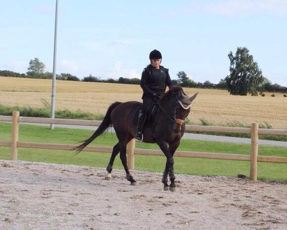 DSP Nørlunds Miss Tanna billede 8