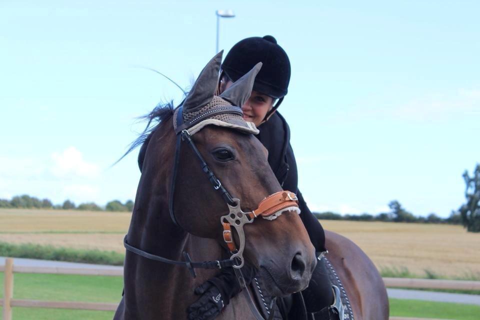 DSP Nørlunds Miss Tanna billede 1