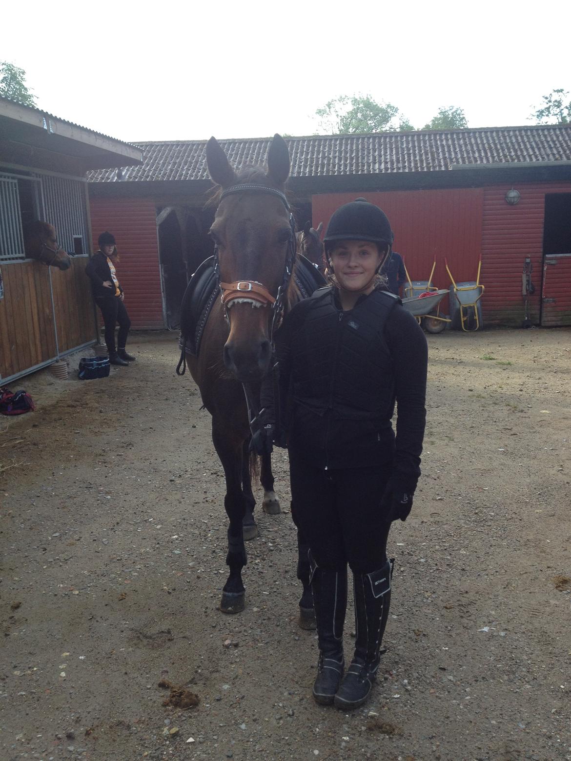 DSP Nørlunds Miss Tanna billede 7