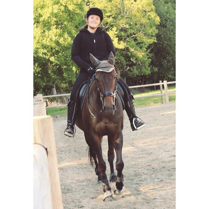 DSP Nørlunds Miss Tanna billede 10