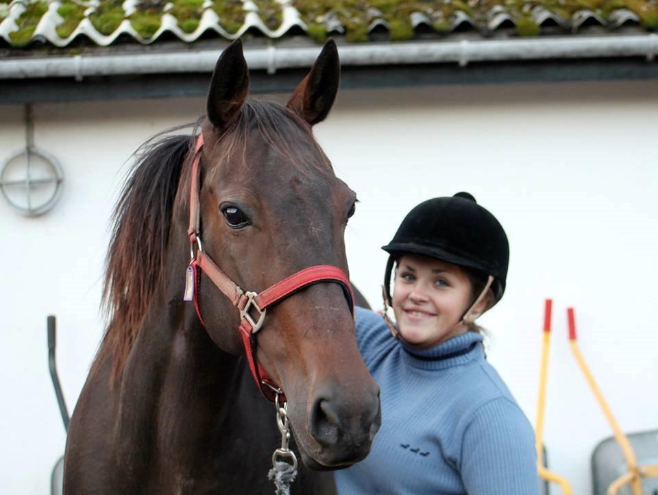 DSP Nørlunds Miss Tanna billede 20