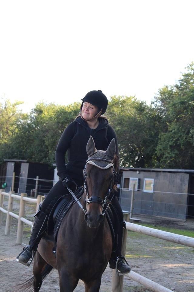 DSP Nørlunds Miss Tanna billede 18