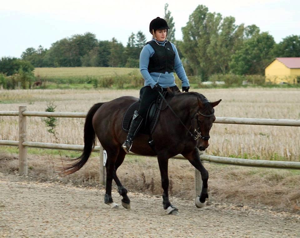 DSP Nørlunds Miss Tanna billede 4