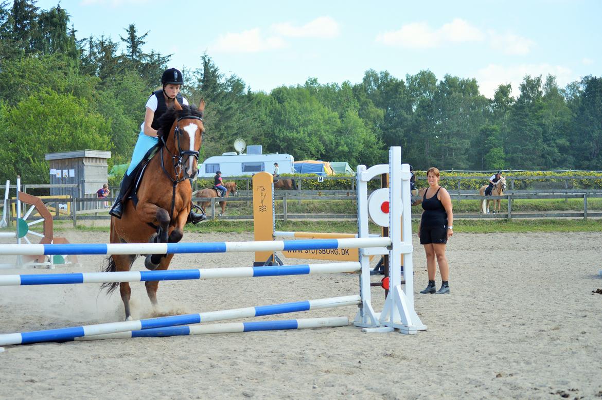 Holstener Armageddon - 1 meter - Stutsborg ridelejr 2014 billede 16