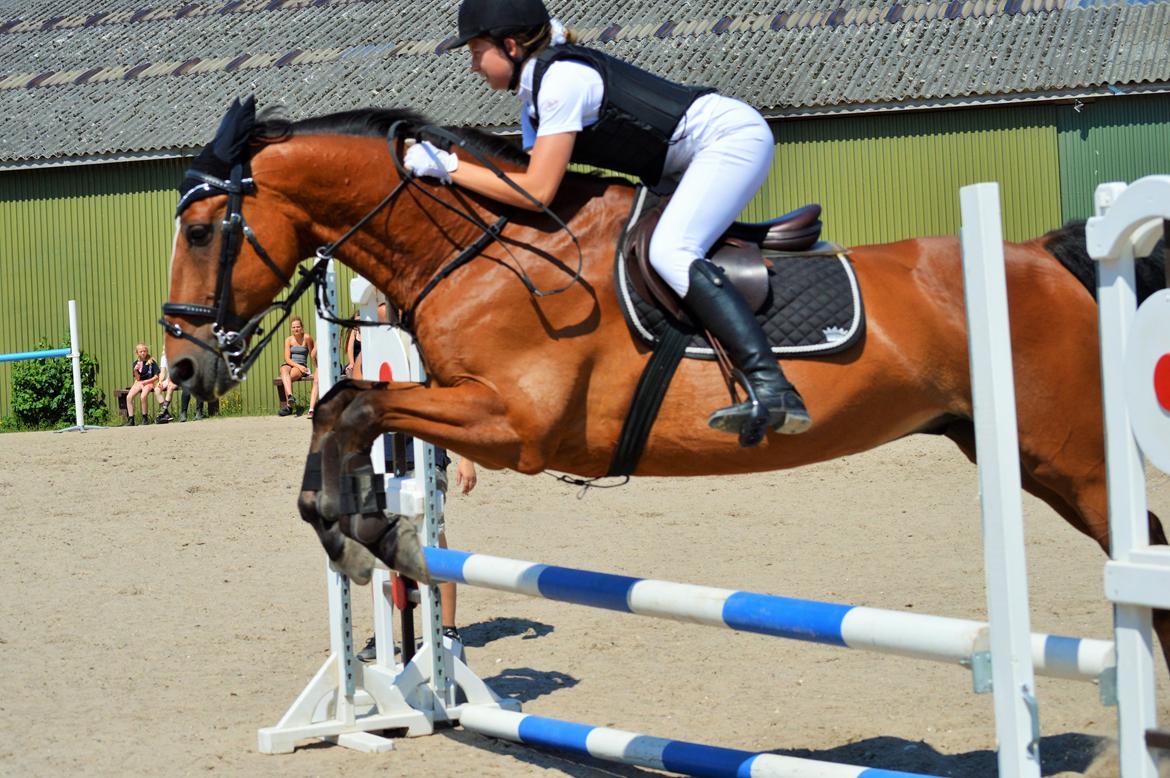 Holstener Armageddon billede 17