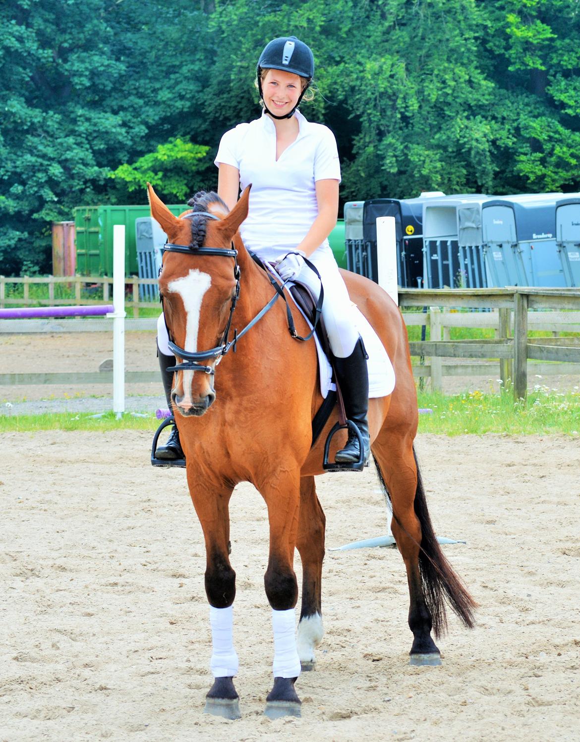 Holstener Armageddon - Bedste lille hyp <3 billede 2