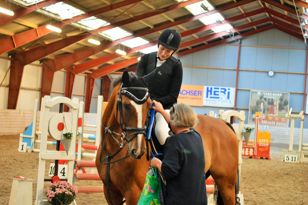 Holstener Armageddon - En 2. plads til Auguststævnet 2014 i 70 cm :D billede 19