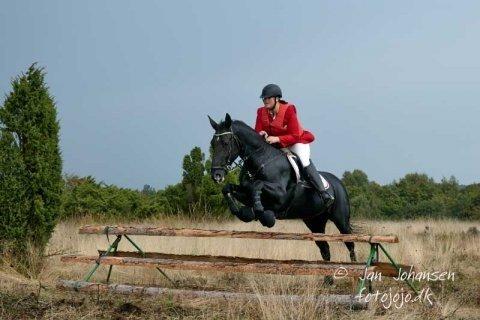 Oldenborg Damgaardens Martine billede 20