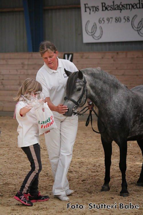 Dartmoor Babe´s Jamilla billede 21