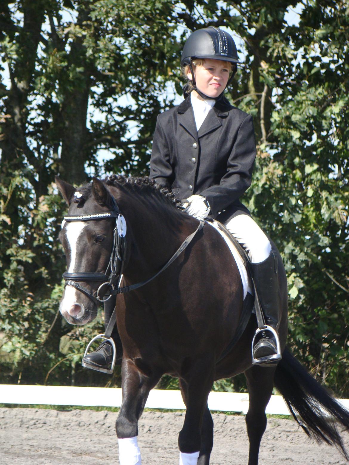 Anden særlig race Aslan billede 48