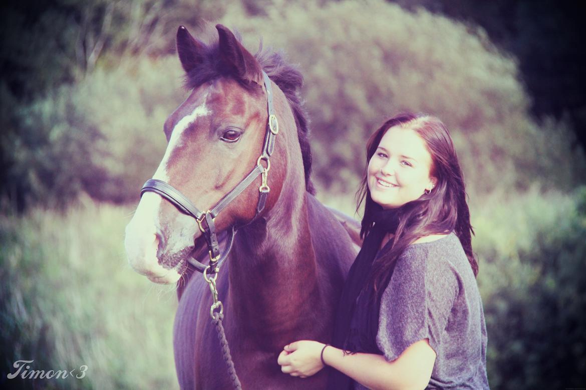 Anden særlig race Flying Timon billede 12