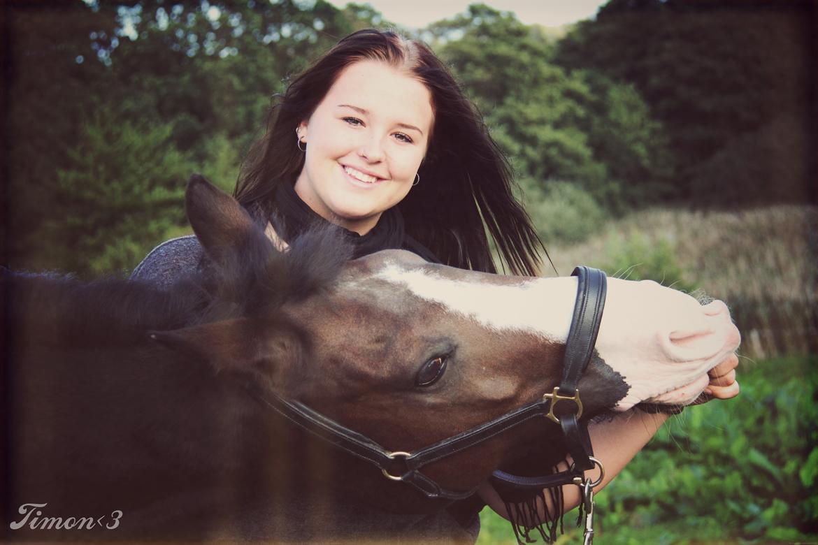 Anden særlig race Flying Timon billede 1