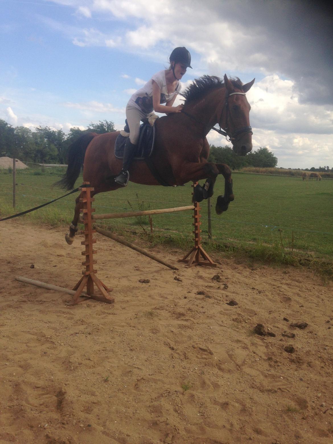 Traver Famous Skovbjerg billede 15