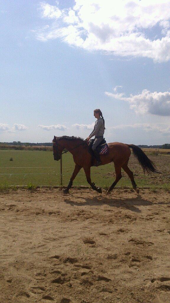 Traver Famous Skovbjerg billede 11