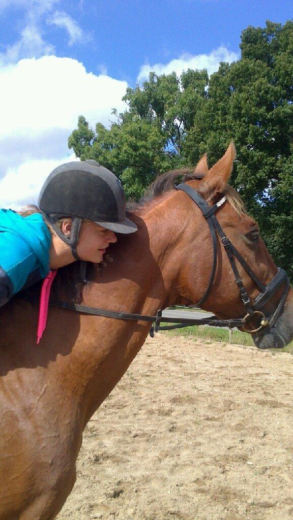 Traver Famous Skovbjerg billede 16