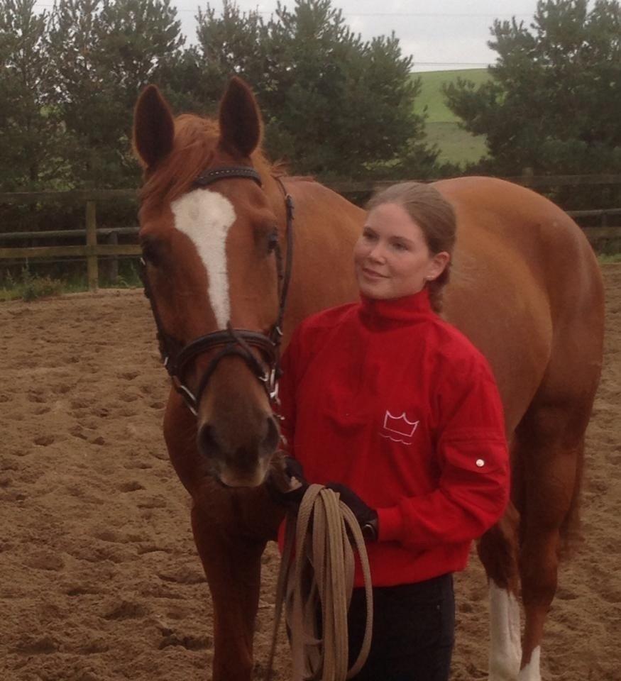 Dansk Varmblod Arion - D. 10 september 2014, lige landet i hans nye hjem billede 23