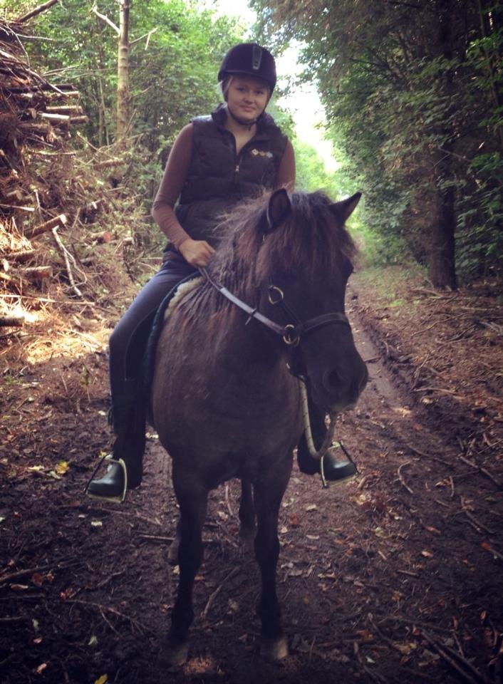 Islænder Ræna Fra Granhøjgård billede 4