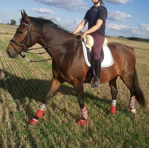 Anden særlig race Cantona af Højvang - Første gang vi rider selv på marken :) billede 19