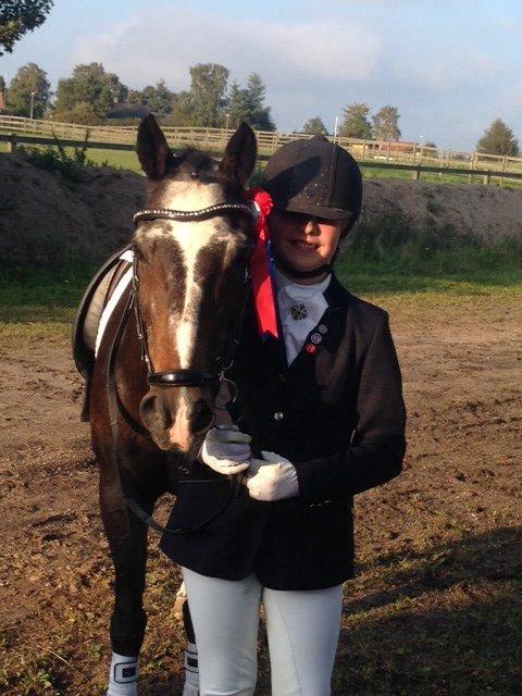 Tysk Sportspony Vämpy billede 12