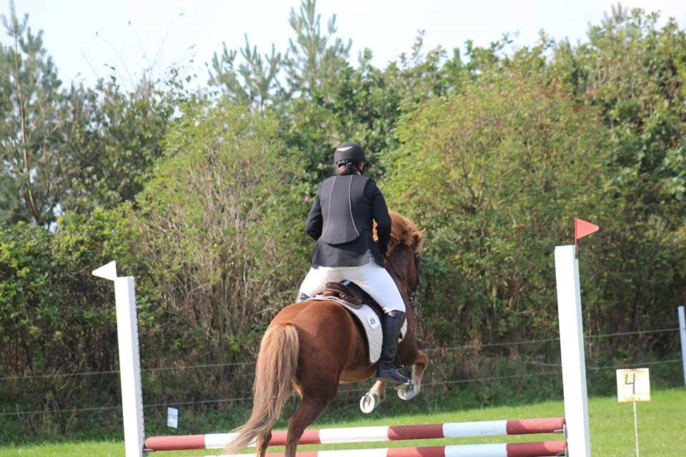 Islænder kappi billede 2