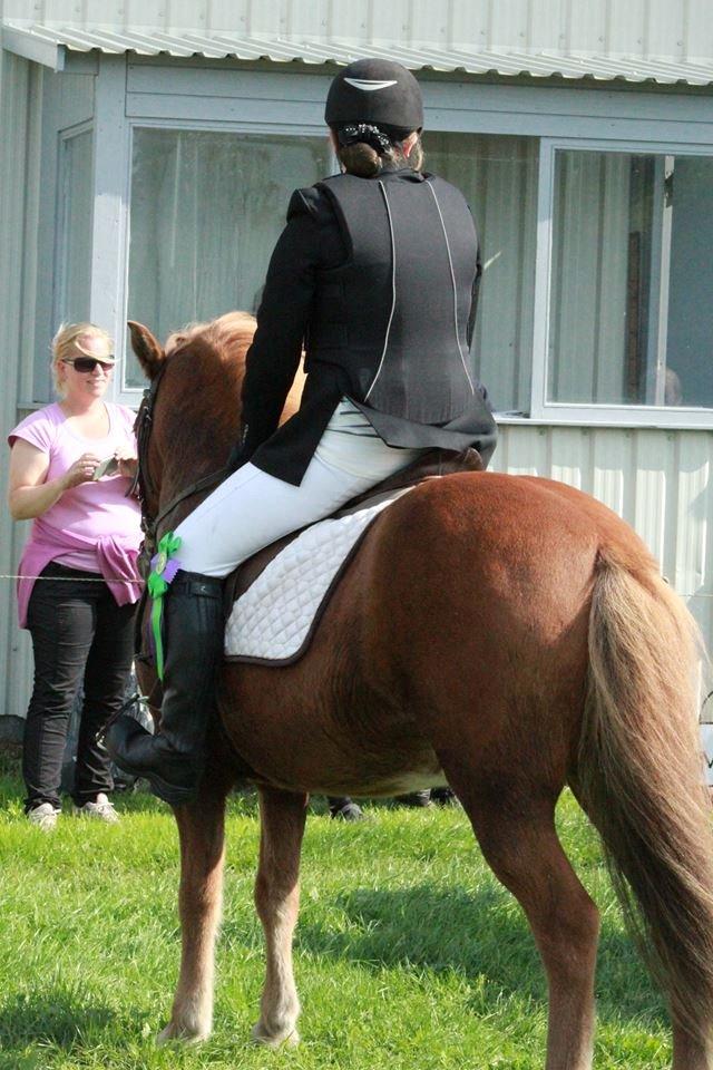 Islænder kappi billede 1