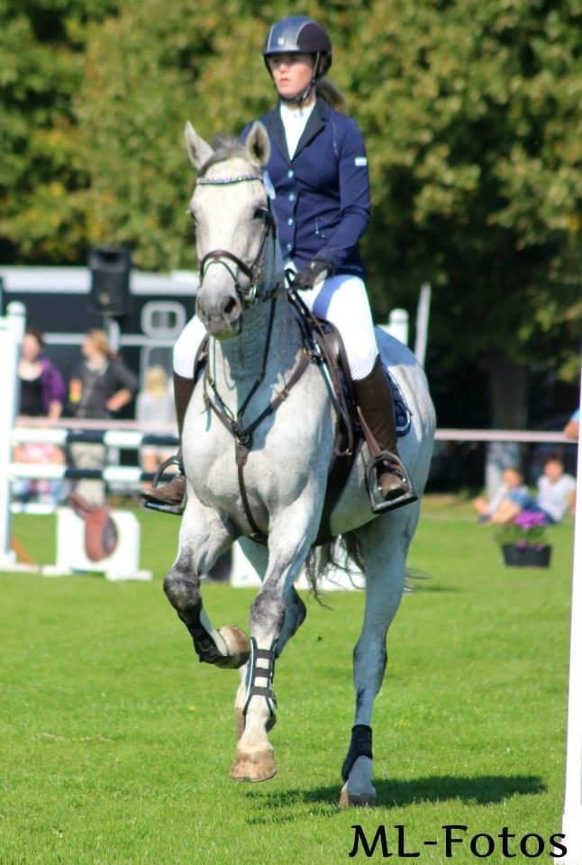 Dansk Varmblod Carneval Fever - store hestedag 2014 billede 18