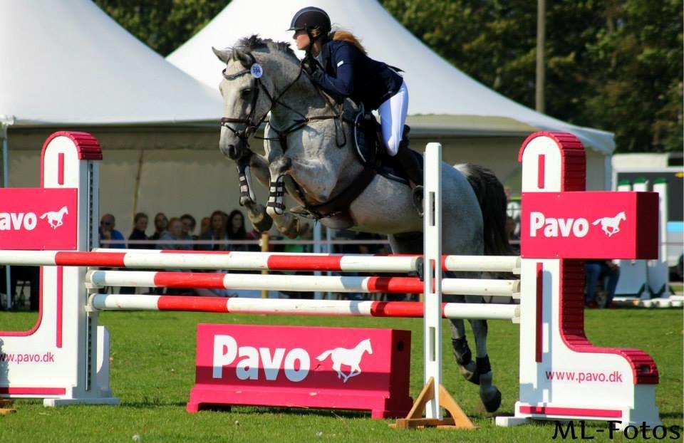 Dansk Varmblod Carneval Fever - store hestedag 2014 billede 19