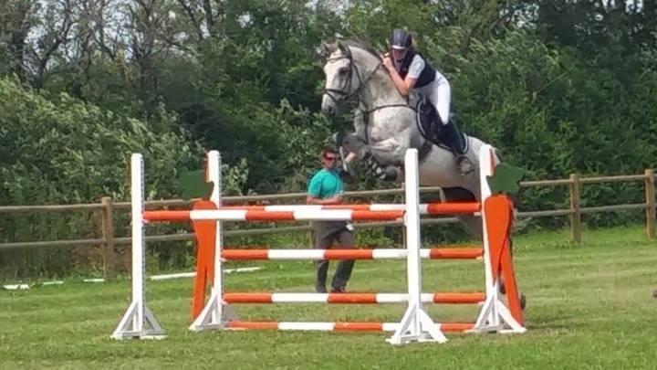 Dansk Varmblod Carneval Fever - LA** 2014 billede 20