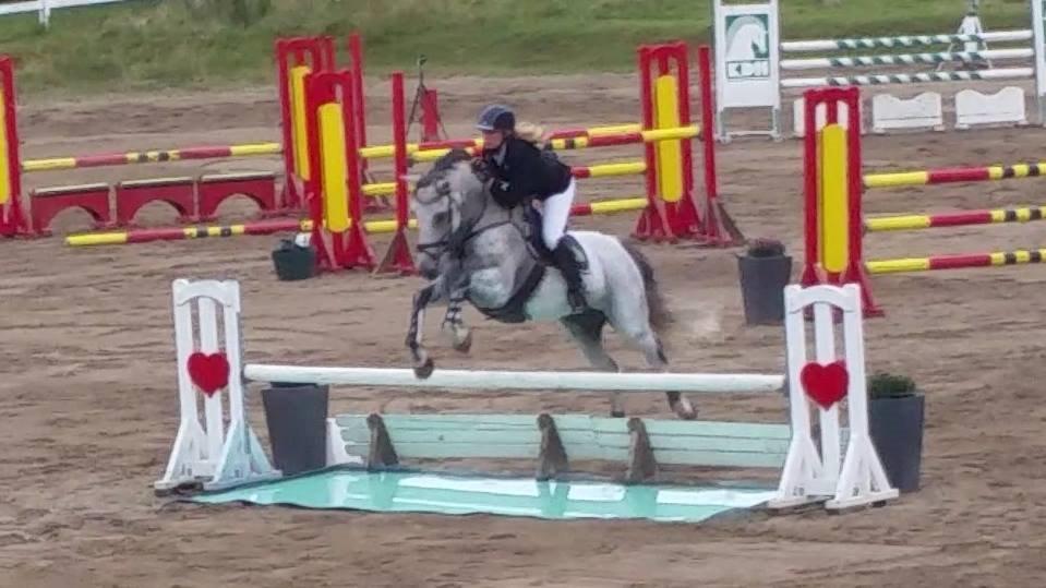 Dansk Varmblod Carneval Fever - sjællandmesterskaberne 2014 billede 21